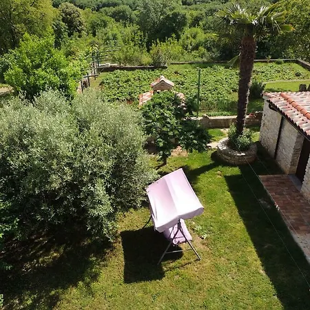 Nela Apartament